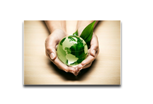 NATIONAL PNEUMATIC TOOLS sustainable solutions